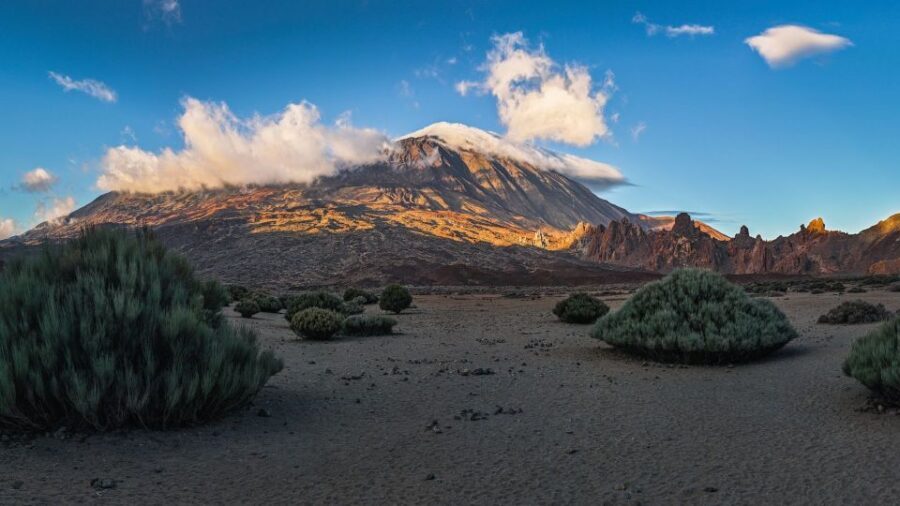 Tenerife: Teide National Park and Dolphins Sailboat Tour - Key highlights you should care about