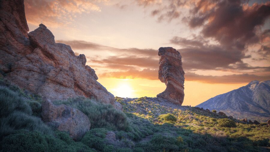 Tenerife: Teide National Park and Dolphins Sailboat Tour - Who should book this Tenerife Teide + dolphins sailboat tour?