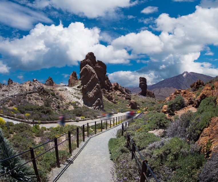 Tenerife: Teide National Park and Dolphins Sailboat Tour - Dolphin and pilot whale spotting: what to expect and how to approach it