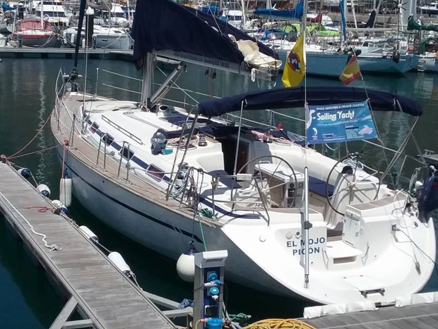 Tenerife: Teide National Park and Dolphins Sailboat Tour - Price and value: is $218 per person fair for this combo?