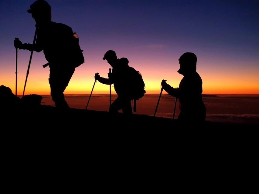 Tenerife: Teide Peak Hiking 3715m - Return options: cable car down vs. hiking the 10 km Montana Blanca route