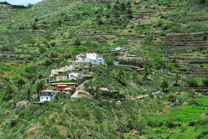 Tenerife Tour Mt. Teide and the Towns of Icod, Garachico, Masca - Mount Teide, Icod, Garachico, and Masca: what this day is really like