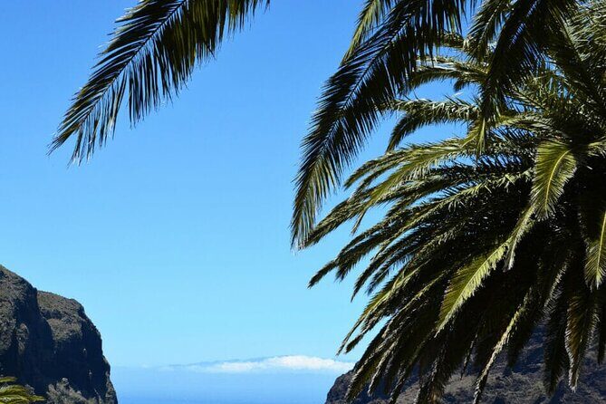 Tenerife Tour Mt. Teide and the Towns of Icod, Garachico, Masca - Stop 2: Icod de los Vinos and colonial charm