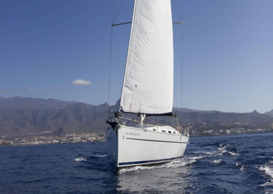 Tenerife: Whale and Dolphin Watching Tour by Sailboat - What you’re really looking for: whales and dolphins off the south coast