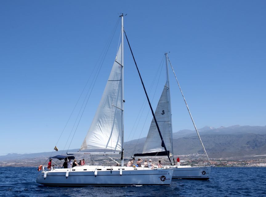 Tenerife: Whale and Dolphin Watching Tour by Sailboat - Crew expertise and the Blue Boat certification