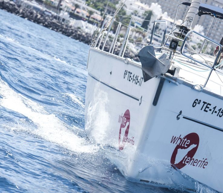 Tenerife: Whale and Dolphin Watching Tour by Sailboat - Price at $69: what you’re paying for (and what you save)