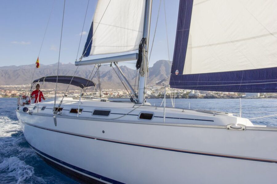 Tenerife: Whale and Dolphin Watching Tour by Sailboat - What to bring, and what can mess up your day