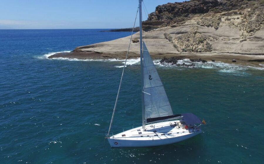 Tenerife: Whale and Dolphin Watching Tour by Sailboat - From Puerto Colón Dock 8 to Costa Adeje waters