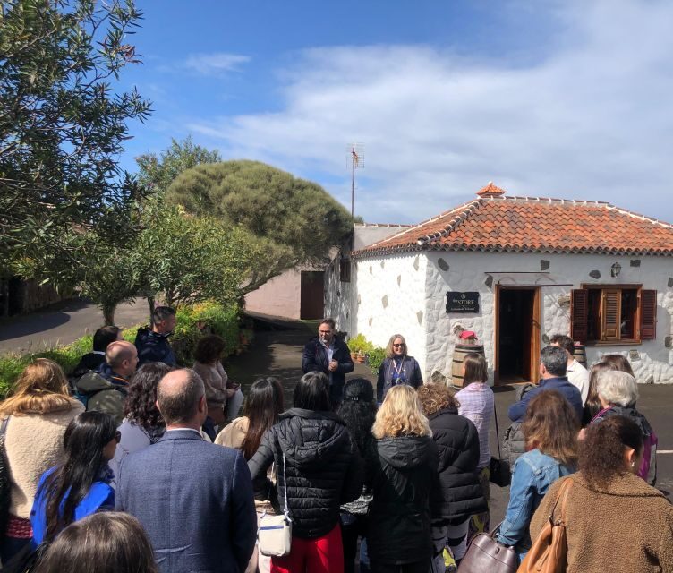 Tenerife Wine: Guided Tour & Tasting with Canarian bites - Entering Bodega El Lomo: Meeting Point and First Impressions