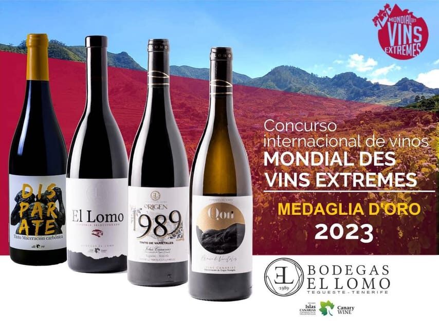 Tenerife Wine: Guided Tour & Tasting with Canarian bites - Vineyard Time in Tegueste: The Varietal Garden Walk