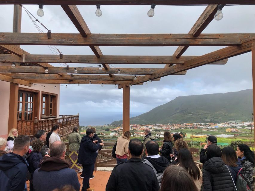 Tenerife Wine: Guided Tour & Tasting with Canarian bites - El 18 Vermouth Bar: What You Learn, What You Pay For