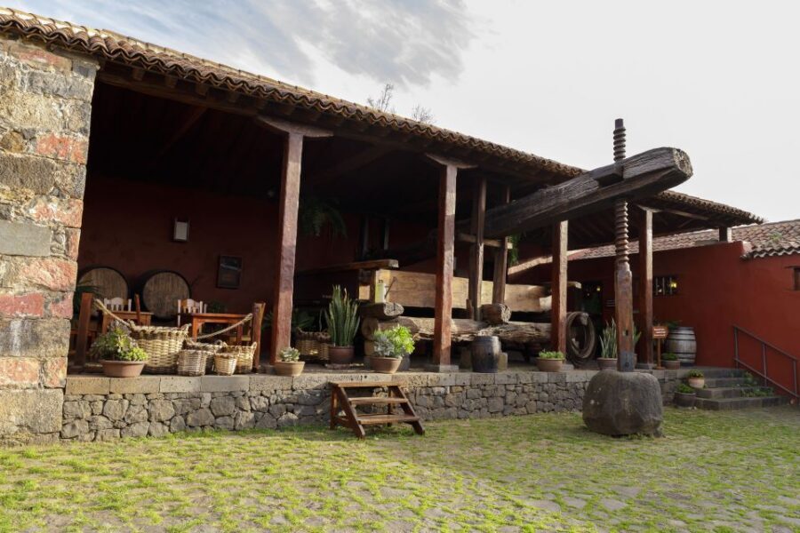 Tenerife: Wine Museum Ticket with Local Wines & Food Tasting - Is the $18 ticket worth it? Value math and time planning