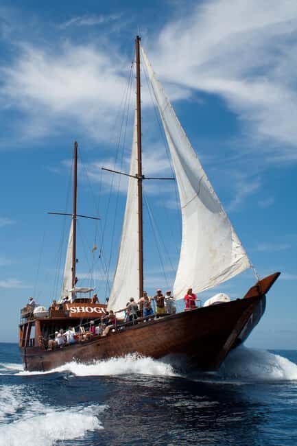 Tenerife:Respectful Whale Watching, Pirate Ship, & Swim - Swimming Stop: Floats for Kids, Gear Left to You