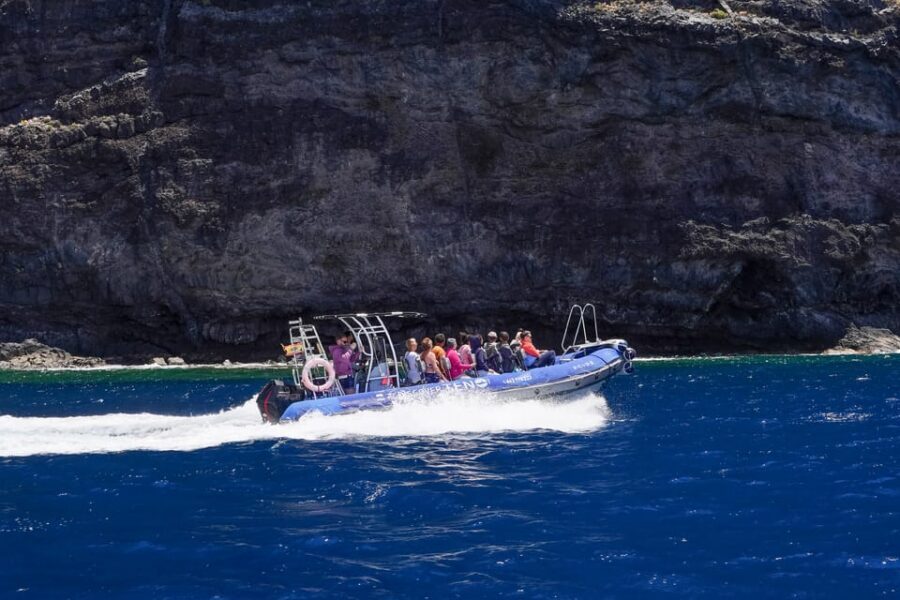 Teno to Masca: Boat trip with snorkeling & drinks - Getting to Punta de Teno: the bus step that can make or break your timing