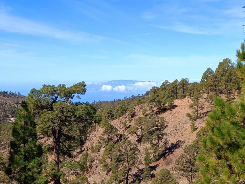 The Wow Factor Walk - The descent: majestic mountain trail, El Teide views, and a pine-forest finish