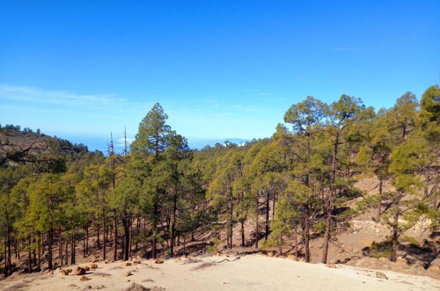 The Wow Factor Walk - Pricing and value: why $71 makes sense for this kind of hike