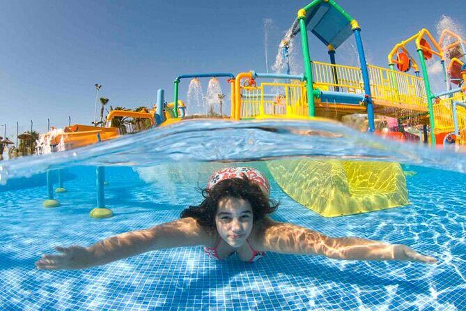 Ticket to Aqualand Tenerife - Dolphin Show Energy: A Real Break From Slides
