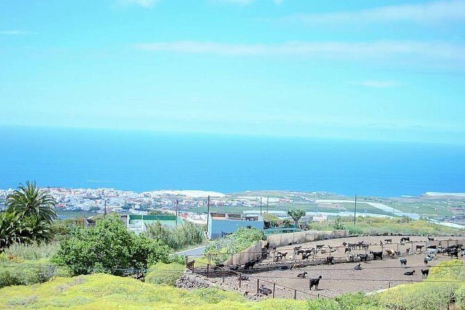 Tour Around the Island - Private VIP Tour in Tenerife - El Palmar de Vejer: a drive-through agricultural valley
