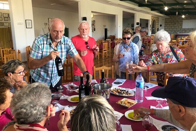 Tour Visiting banana plantation and winery in Tenerife - A 4–5 Hour Tenerife Route: Bananas First, Wine Second