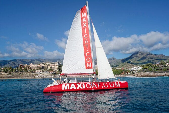 Tour with Whale and Dolphin Watching plus food included - Key Highlights You’ll Care About