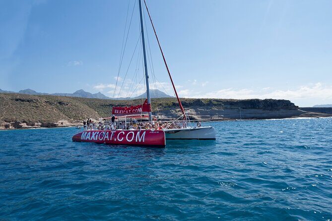 Tour with Whale and Dolphin Watching plus food included - Getting Started in Playa de la Américas: Where the Trip Begins