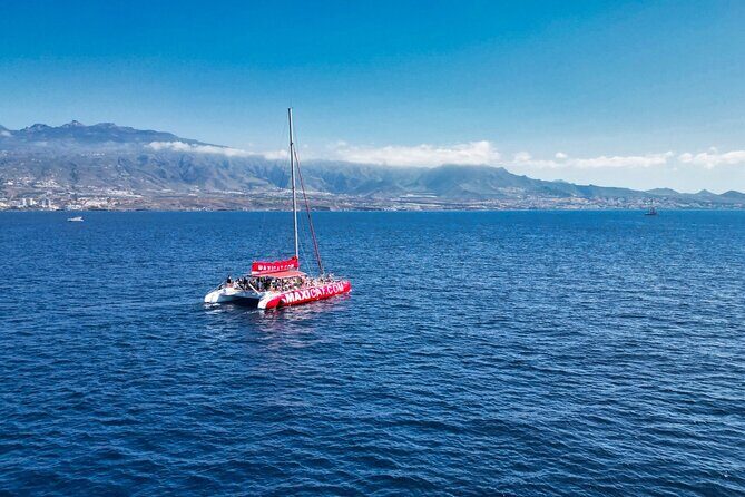 Tour with Whale and Dolphin Watching plus food included - The 30-Minute Break at Spaghetti Beach (Diego Hernández Bay)