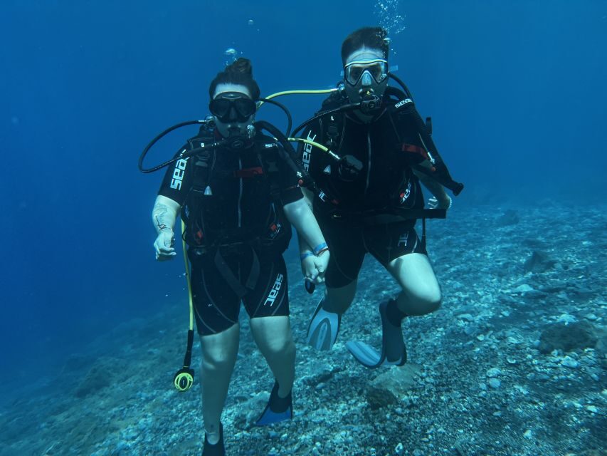 Try diving for the first time in turtle area - CMAS Instructors and Private Group Coaching (No Mixed Herds)