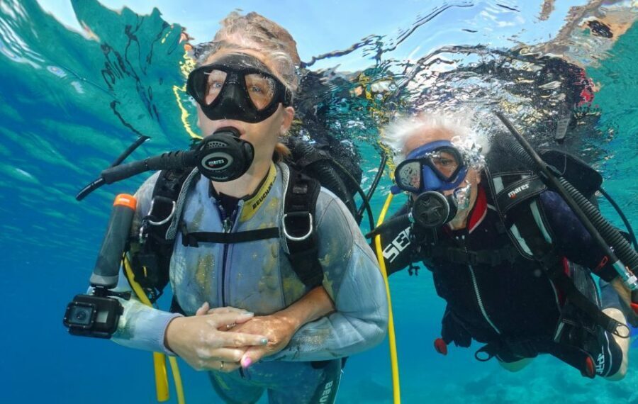 Try diving for the first time in turtle area - What You’ll See Underwater: Fish, Turtles, Starfish, and More
