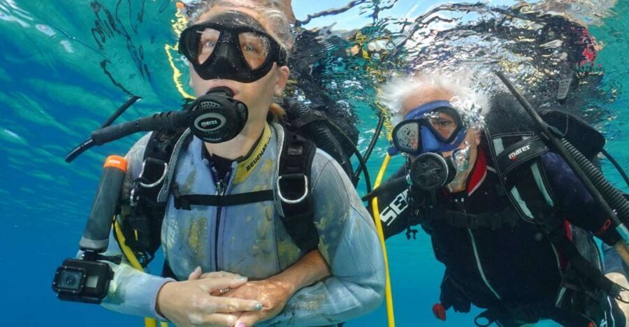 Try diving for the first time in turtle area - Photos and Videos: A Worthwhile Memory Grab