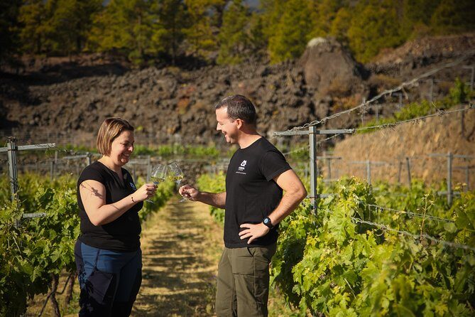 Visit to Arafo Mountain Vineyard and Organic Wine Tasting - Key things worth knowing before you go