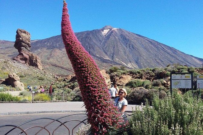 Volcano Teide - Masca ravine. Guided Tour from Puerto de la Cruz - Tenerife - Teide National Park at 2350m: The Iconic Views in a Short Window