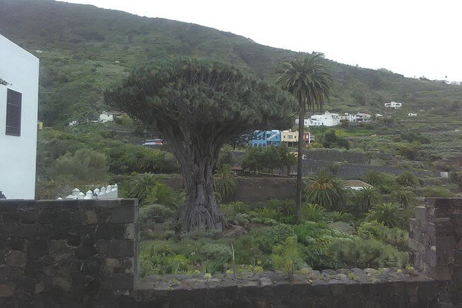 Volcano Teide National Park And North Of The Island VIP TOUR - Entering Tenerife Through La Laguna’s Old Streets