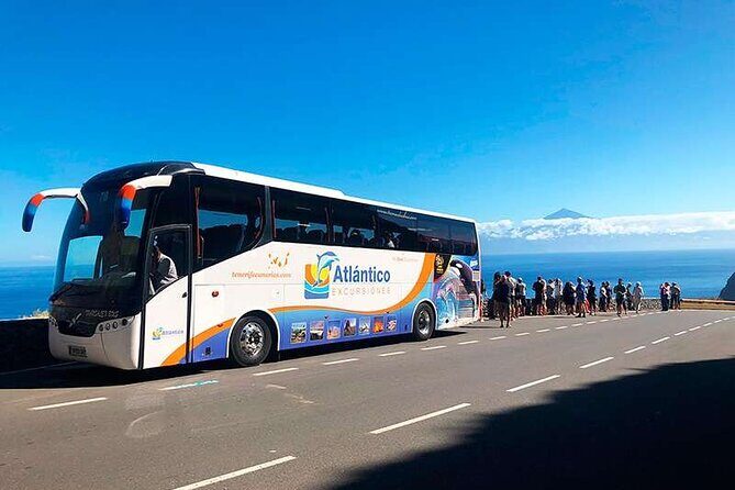 Volcano Teide National Park Guided Tour from Puerto de la Cruz - Tenerife North - Who should book this Teide tour from the north (and who should think twice)