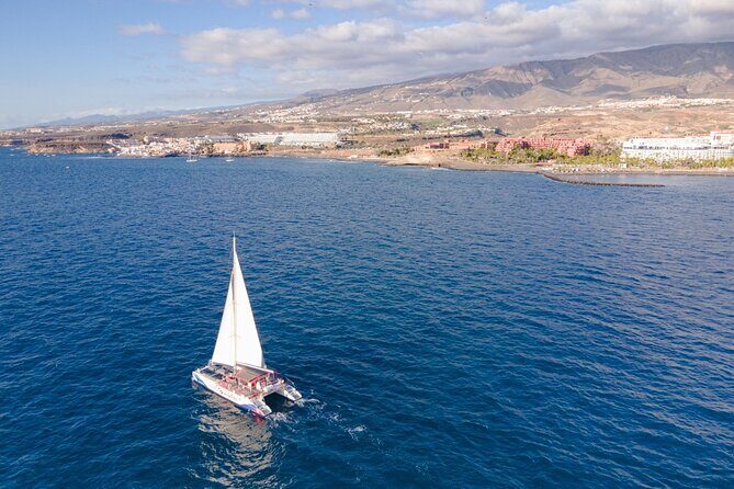 Watching and Listening Whales visiting Los Gigantes&Masca. Food&drinks included - Whale and dolphin watching: how to get the best spotting