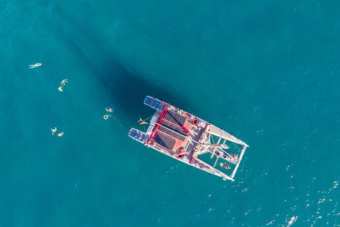 Watching and Listening Whales visiting Los Gigantes&Masca. Food&drinks included - Boat comfort and the little things that matter at sea