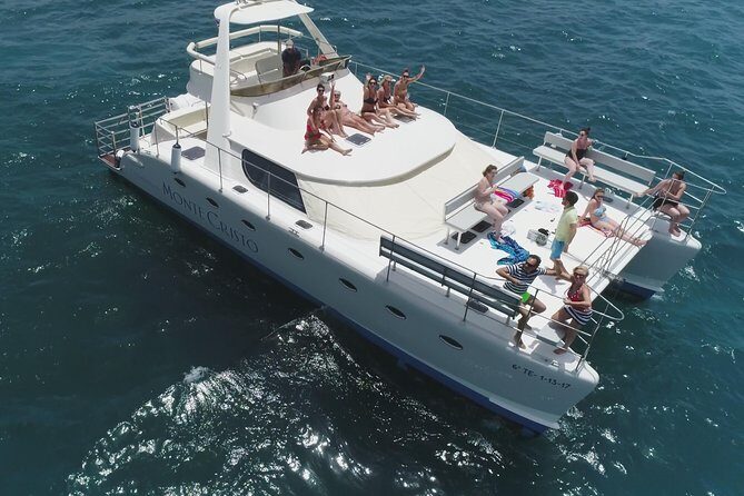 Whale and Dolphin Watching Catamaran with Transfer and Buffet - Key Highlights You Should Know Before You Go