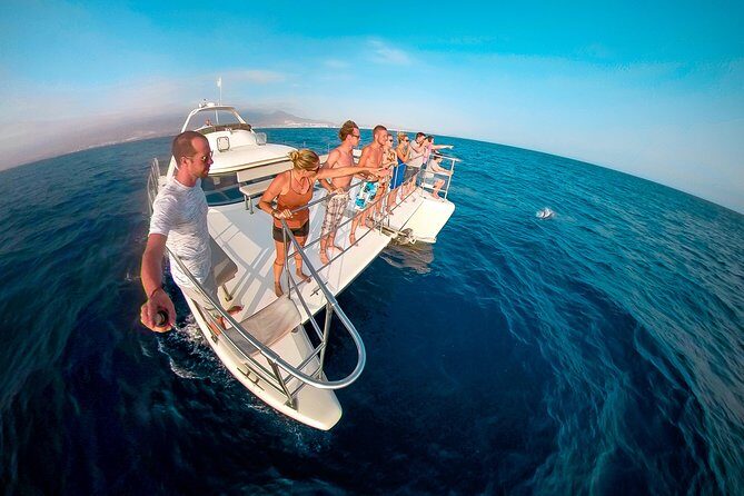 Whale and Dolphin Watching Catamaran with Transfer and Buffet - What the Catamaran Experience Feels Like on the Water