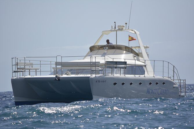 Whale and Dolphin Watching Catamaran with Transfer and Buffet - Hotel Transfers in Tenerife’s South: Worth It for a Low-Stress Day