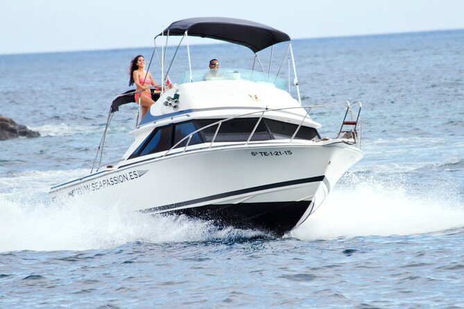 Whale and dolphin watching tour Los Gigantes and Masca in small groups - Key highlights to look for