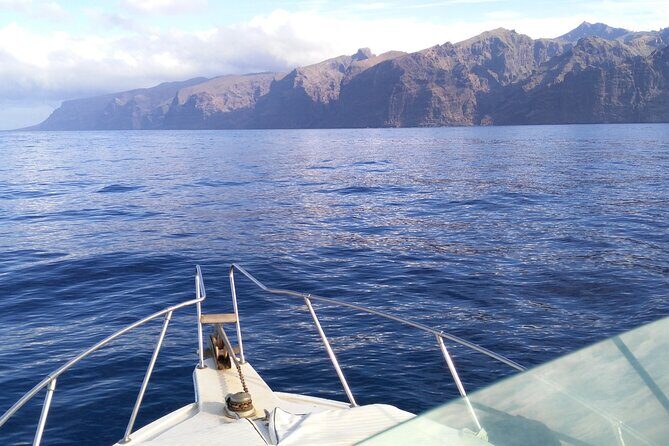 Whale and dolphin watching tour Los Gigantes and Masca in small groups - Who this tour suits best (and who might want a different option)