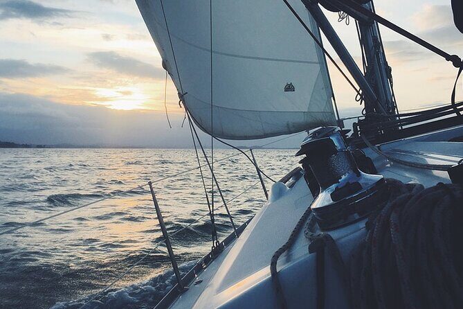 Whale & Dolphin Watching Boat Trip in Tenerife On a Sailing Boat (3 Hr) - Why the Small Boat Matters More Than You Think