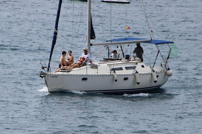 Whale & Dolphin Watching Boat Trip in Tenerife On a Sailing Boat (3 Hr) - Price and Value: What $52.35 Buys You