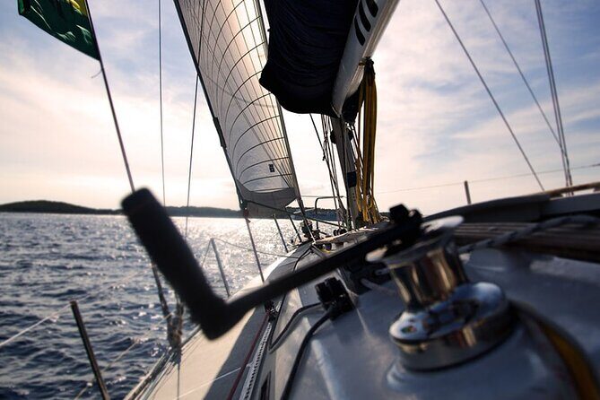 Whale & Dolphin Watching Boat Trip in Tenerife On a Sailing Boat (3 Hr) - Who Should Book This Tenerife Whale and Dolphin Sail?