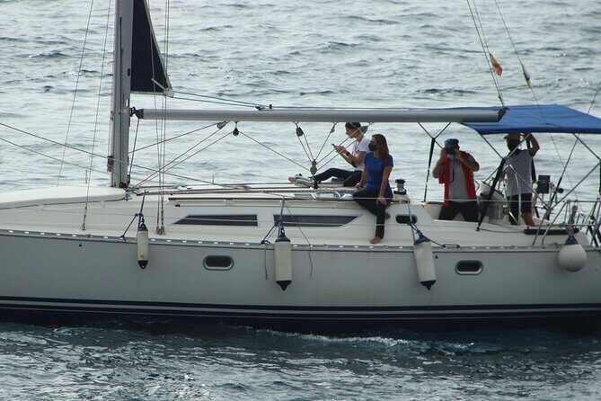 Whale & Dolphin Watching Boat Trip in Tenerife On a Sailing Boat (3 Hr) - Your Skipper’s Hunt for Whales and Dolphins