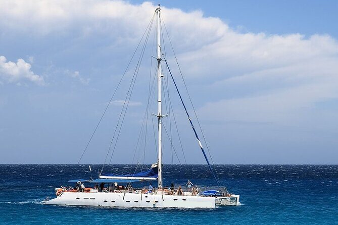 Whale & Dolphin Watching in Tenerife (Puerto Colon) On a Large Catamaran - Key Things I’d Focus On Before You Go