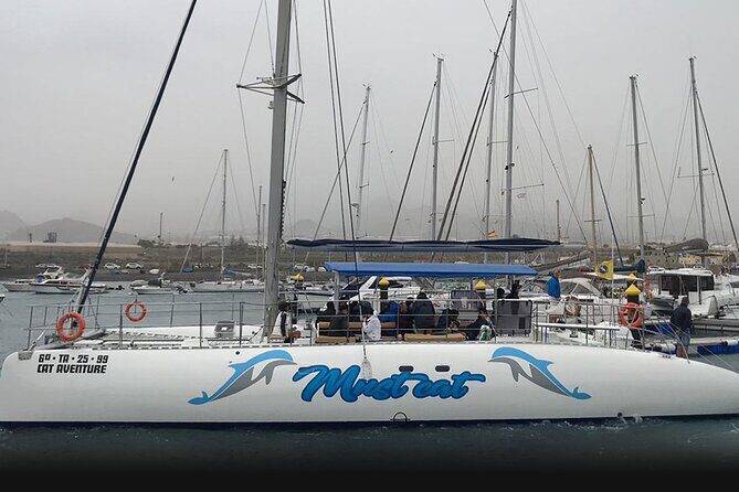 Whale & Dolphin Watching With Mustcat Virgin Coast Trip On a Large Catamaran - What the catamaran ride is really like (and why it matters)