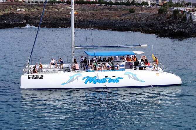 Whale & Dolphin Watching With Mustcat Virgin Coast Trip On a Large Catamaran - Sightings: how to set expectations without losing the magic