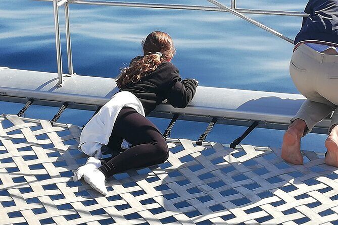 Whale & Dolphin Watching With Mustcat Virgin Coast Trip On a Large Catamaran - Group size and onboard atmosphere (why it affects your views)
