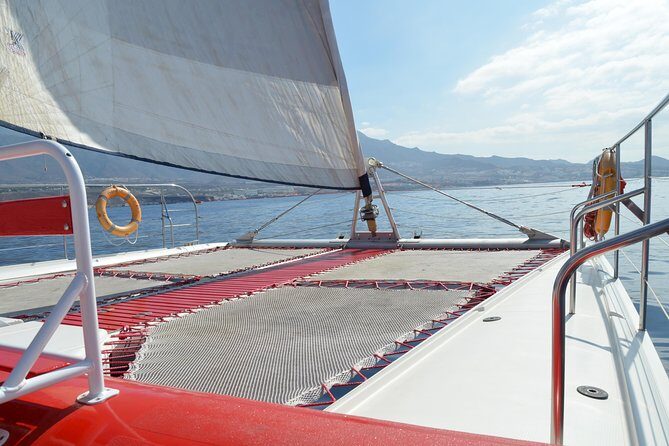 Whale Watching and Listening Eco Catamaran Tour with Food Tasting - Key things to know before you go