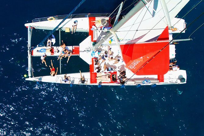 Whale Watching and Listening Eco Catamaran Tour with Food Tasting - Comfort, crowding, and what to expect from the boat itself